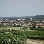Antjes Flonheim