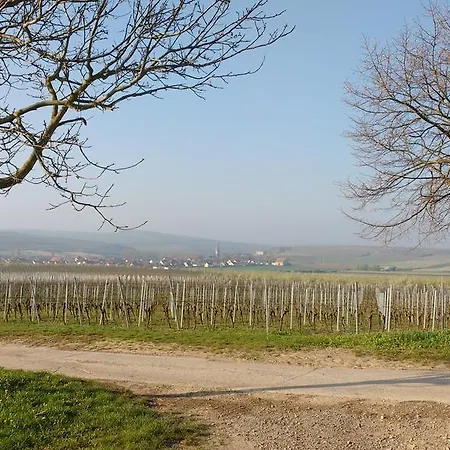 Antjes * Flonheim