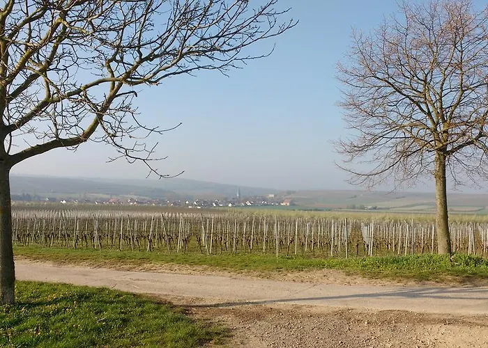 Antjes * פלונהיים